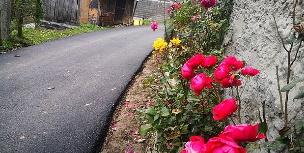 Zenica Gornja Višnjica