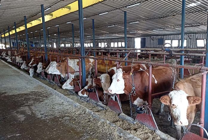 U 2022. godini sa područja opštine Sokolac isporučeno 3.347.000 litara mlijeka